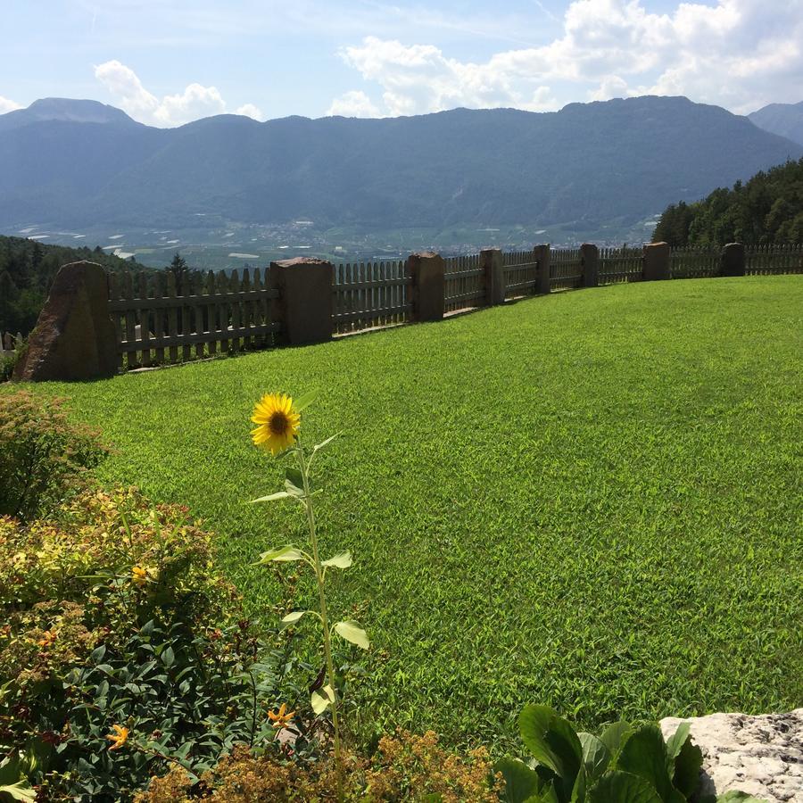 Agriturismo Alpenvidehof Villa Coredo Exterior foto